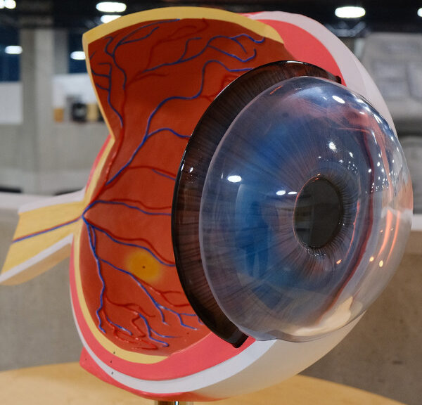 Podkarpackie Centrum Nauki